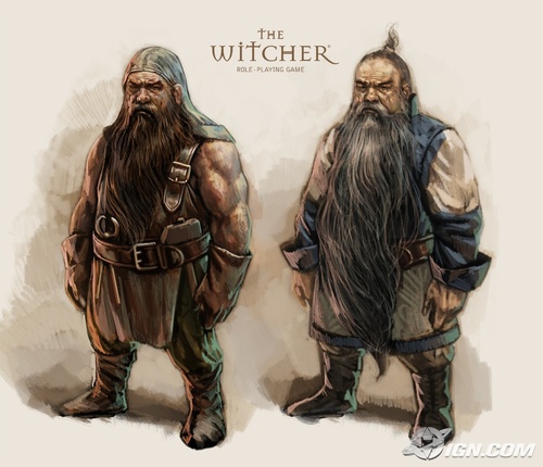  Witcher Bilder