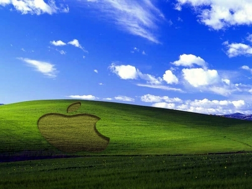 사과, 애플 logo cust