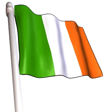  irish flag