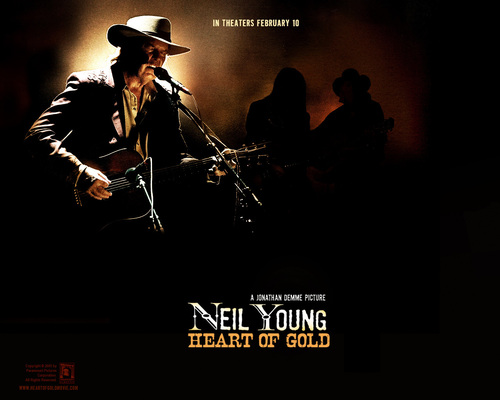 neil young - Neil Young Wallpaper (633161) - Fanpop