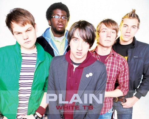  plain white t's