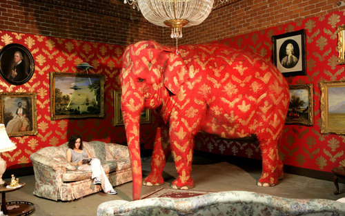  red 象, 大象