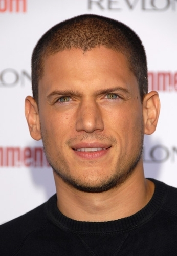  wentworth miller at the emmys