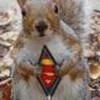 Super Squirrel! cocopopsrdeadly photo